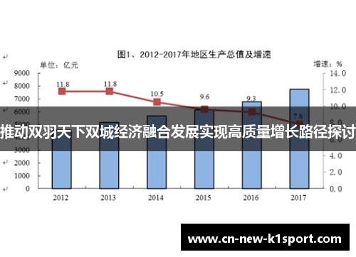推动双羽天下双城经济融合发展实现高质量增长路径探讨